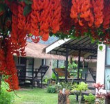 Apple camp Resort in Khao Yai