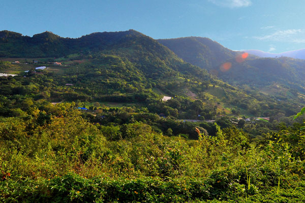 Cabbages & Condoms resort in Khao Yai