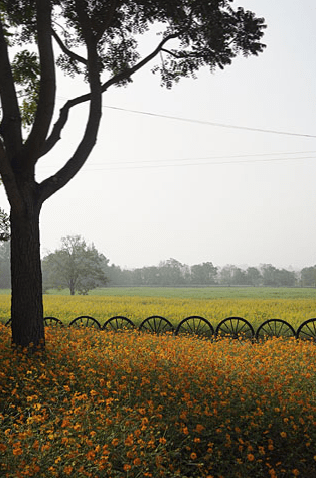 Jim Thompson farm in Korat