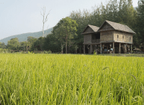 Jim Thompson farm in Korat