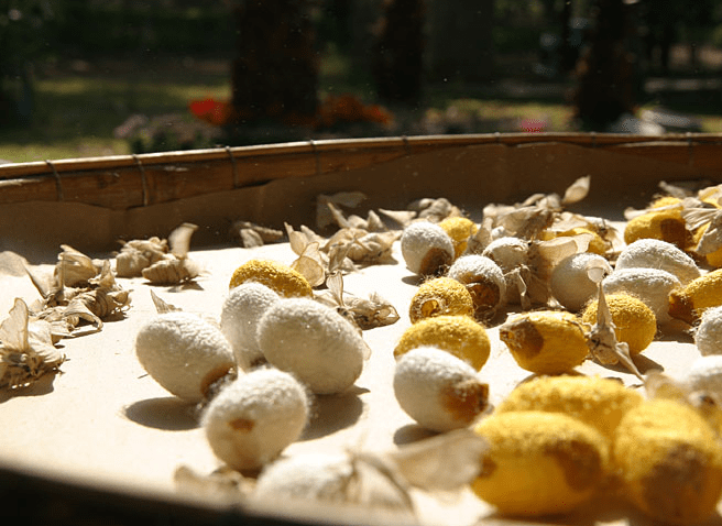 Jim Thompson farm in Korat