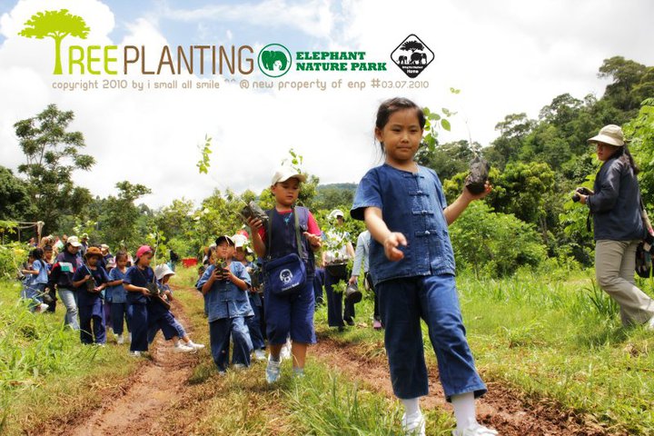 Tree planting project in Khao Yai