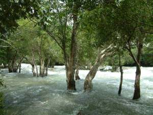 Rafting in Khao Yai, Kaeng Hin Phoeng rapids, Prachinburi province